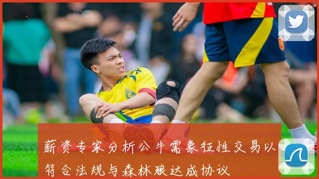 薪资专家分析公牛需象征性交易以符合法规与森林狼达成协议