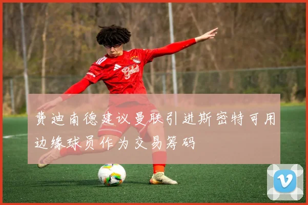 费迪南德建议曼联引进斯密特可用边缘球员作为交易筹码