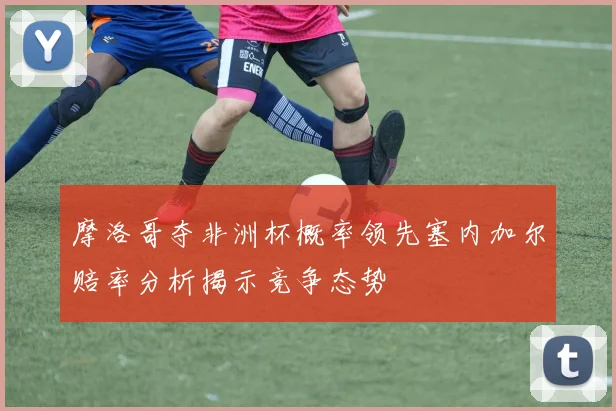 摩洛哥夺非洲杯概率领先塞内加尔赔率分析揭示竞争态势